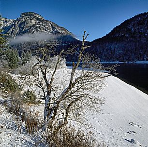 Cave del Predil